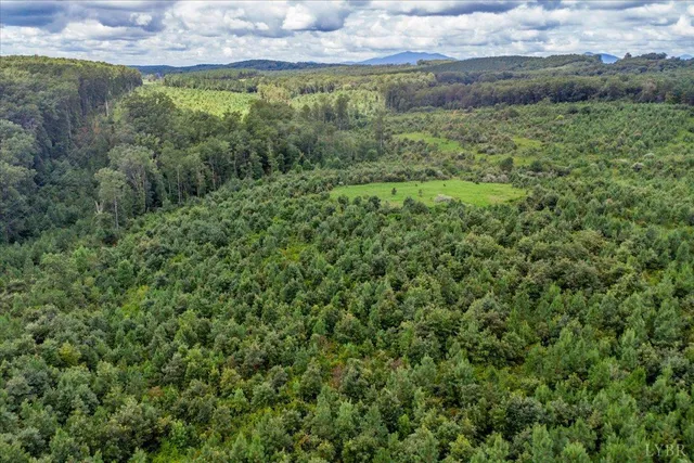 a view of a field of grass and trees