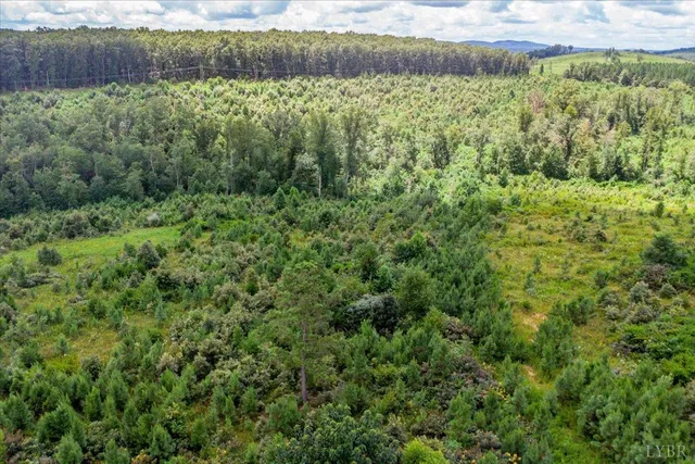 a view of a yard with an outdoor space