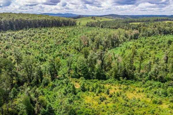 a view of a lush green field