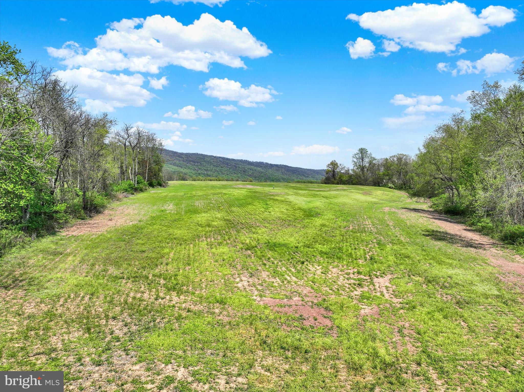 0 Red Hill Road Dauphin, PA 17018 - Photo 6 of 9