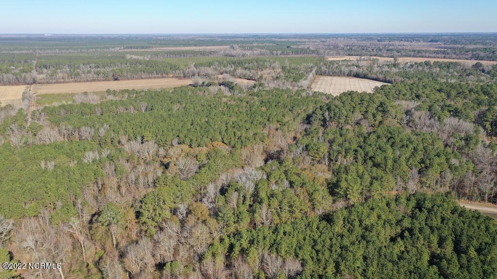 0 Kansas Road Dover, NC 28526 - Photo 10 of 15 10