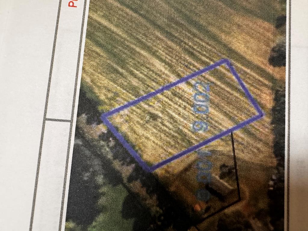 0 County Road 6 Geneva, AL 36340 - Photo 4 of 5
