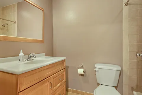 a bathroom with a sink a toilet and a mirror