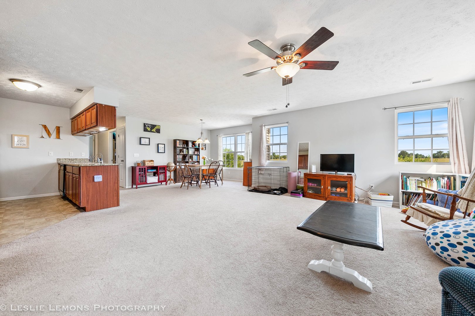 581 Stonegate Drive Sycamore, IL 60178 - Photo 9 of 23 a living room with furniture and a flat screen tv