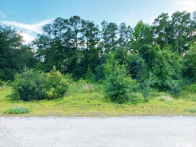$34,900 | Lot 1 Ivanhoe Place, Dillon, SC 29536