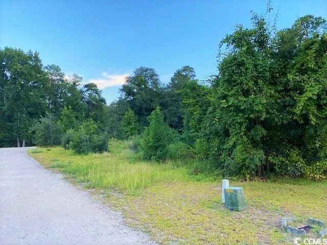 $34,900 | Lot 1 Ivanhoe Place, Dillon, SC 29536