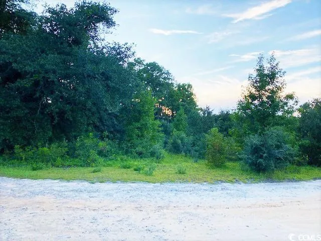 $34,900 | Lot 1 Ivanhoe Place, Dillon, SC 29536
