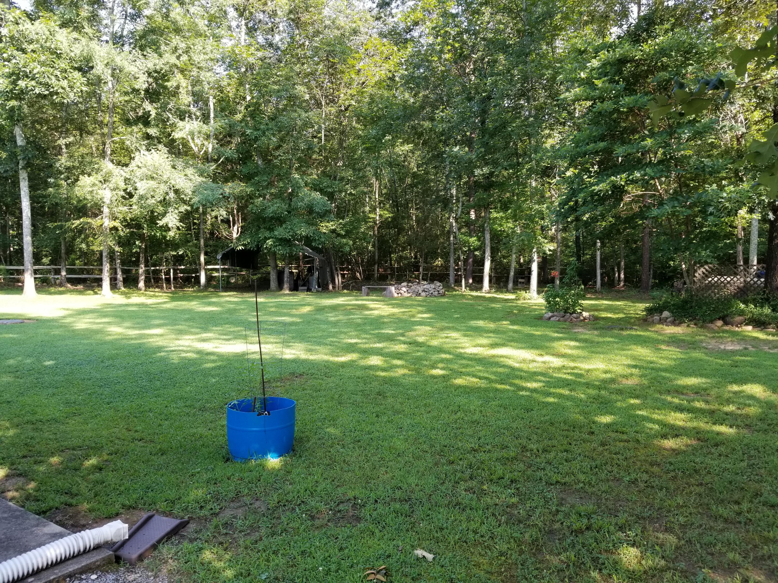 322 Rock Creek Road Dunlap, TN 37327 - Photo 5 of 26 Rock Creek3