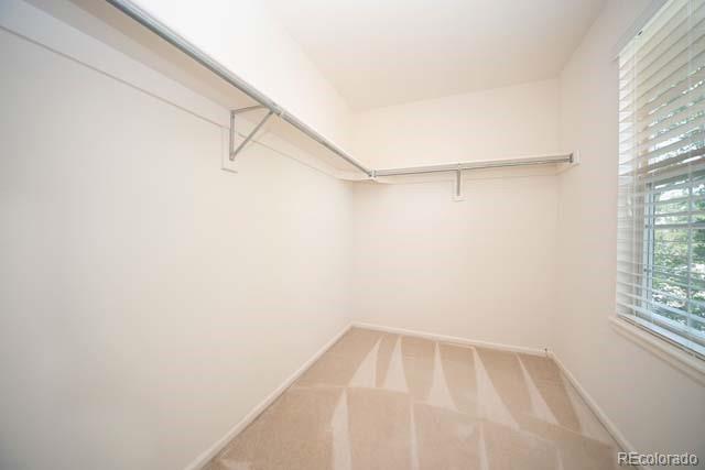 9707 Adelaide Circle Highlands Ranch, CO 80130 - Photo 14 of 20 Gallery Image 14