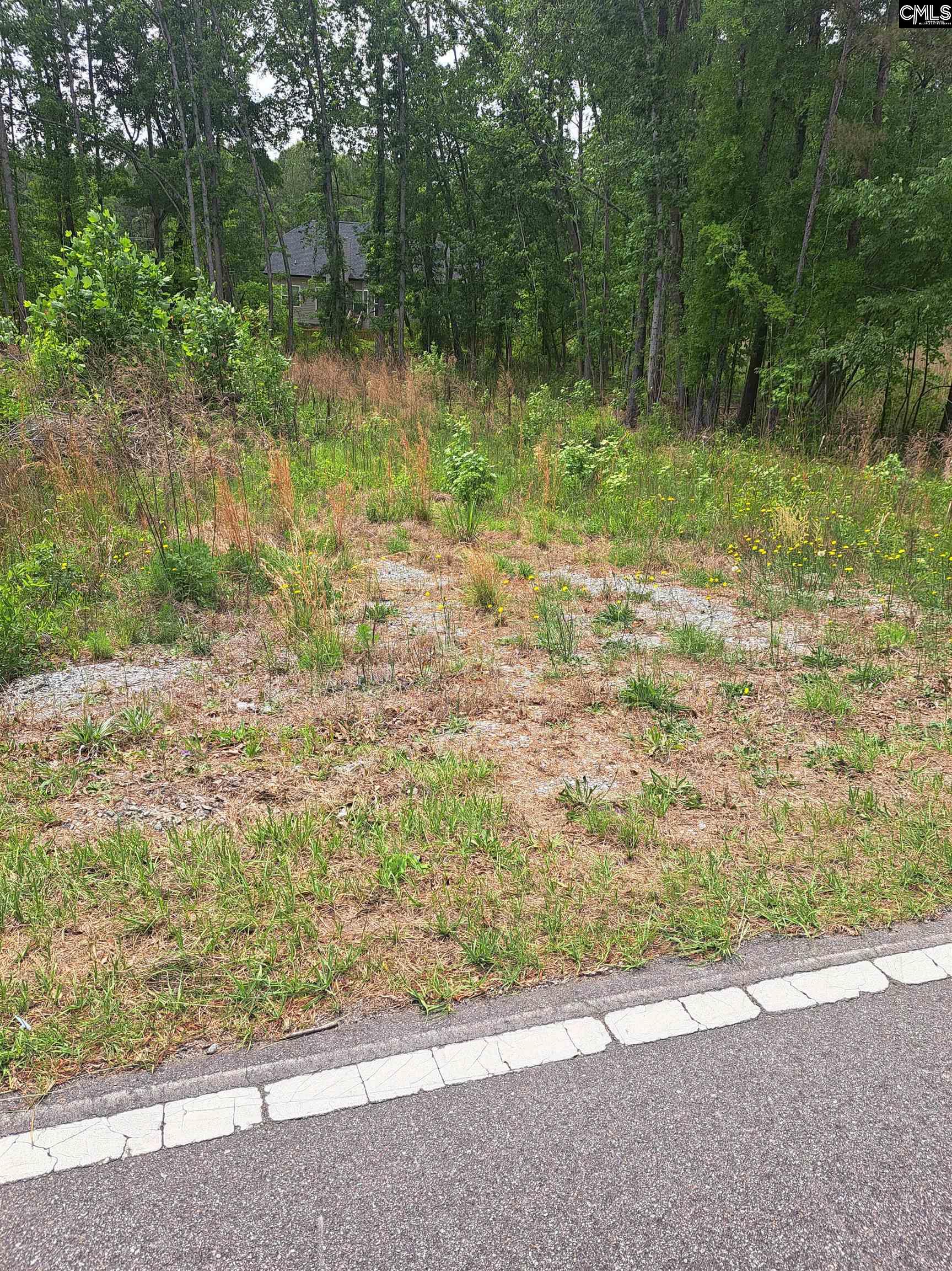 460 Grover Wilson Road Blythewood, SC 29016 - Photo 11 of 19