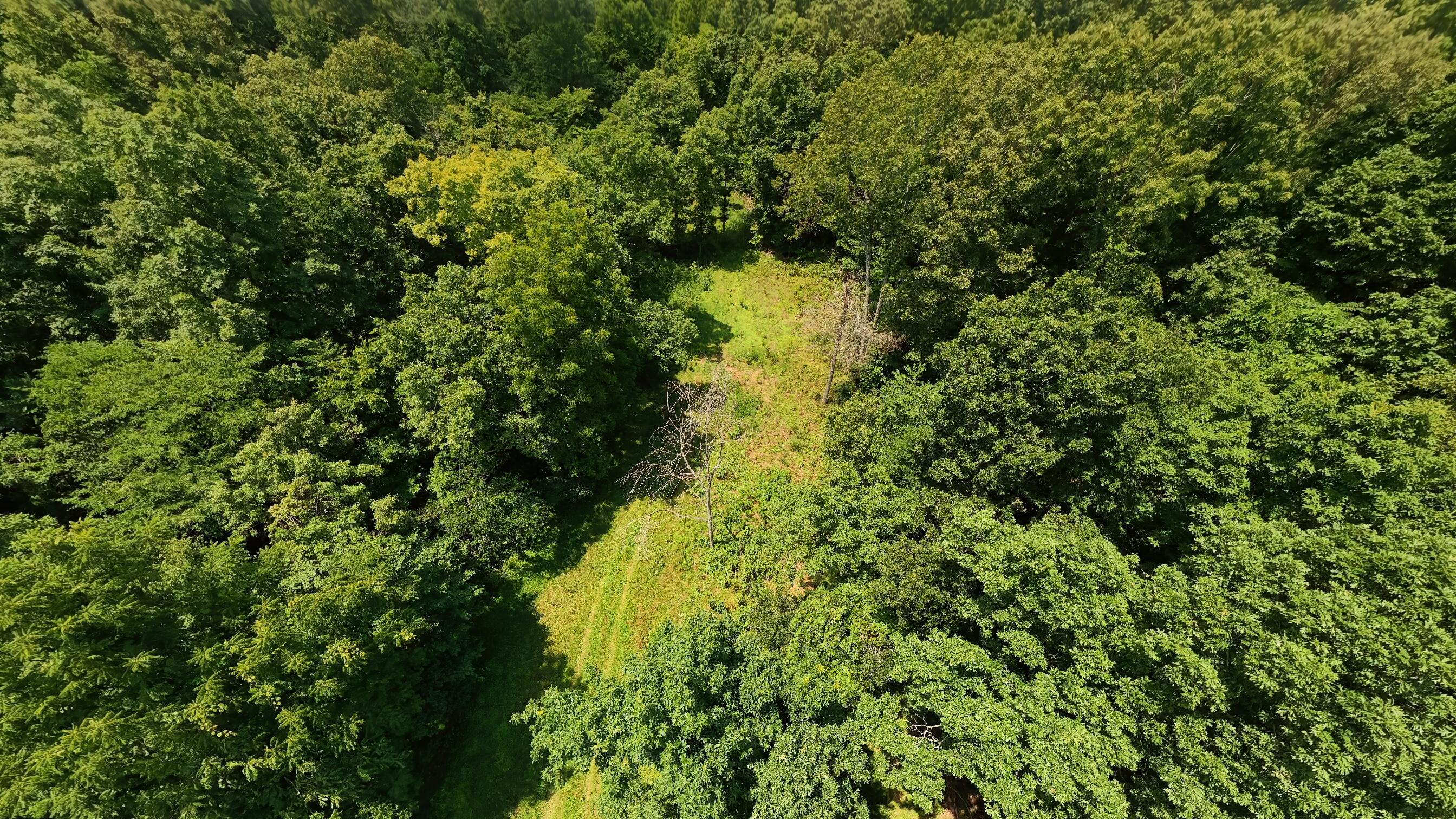 10824 Upper Janes Creek Road Ravenden, AR 72459 - Photo 75 of 79 93 acre hunting property074
