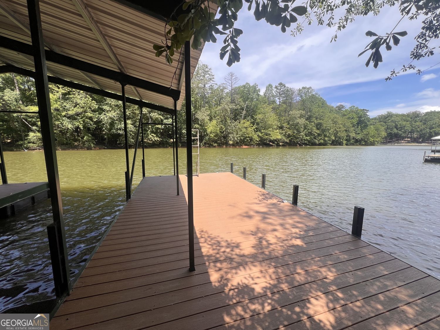 410 Lakeside Hills Road Martin, GA 30557 - Photo 12 of 53 a park with water view and large trees