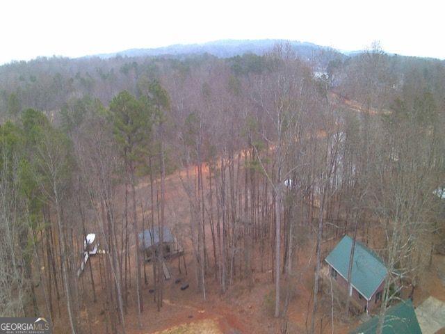 410 Lakeside Hills Road Martin, GA 30557 - Photo 39 of 53 a view of a dry yard with mountains in the background