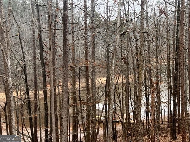 410 Lakeside Hills Road Martin, GA 30557 - Photo 46 of 53 a view of yard with trees in front of it