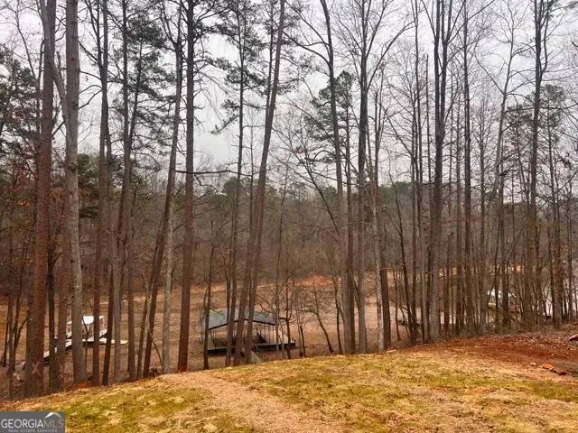 a view of swimming pool with a lake view