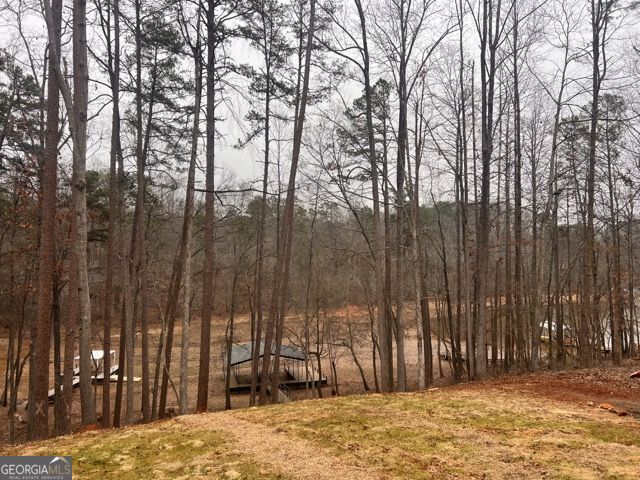 410 Lakeside Hills Road Martin, GA 30557 - Photo 49 of 53 a view of outdoor space and yard