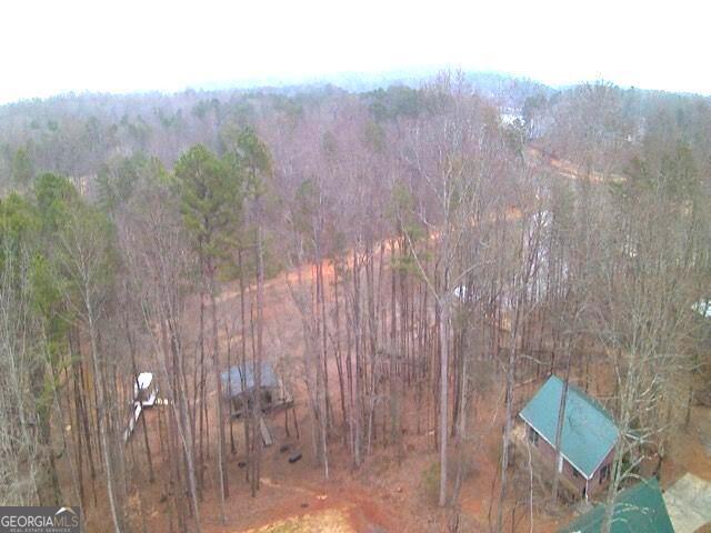 410 Lakeside Hills Road Martin, GA 30557 - Photo 51 of 71