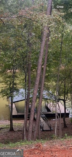 410 Lakeside Hills Road Martin, GA 30557 - Photo 59 of 71 a backyard of a house with table and chairs