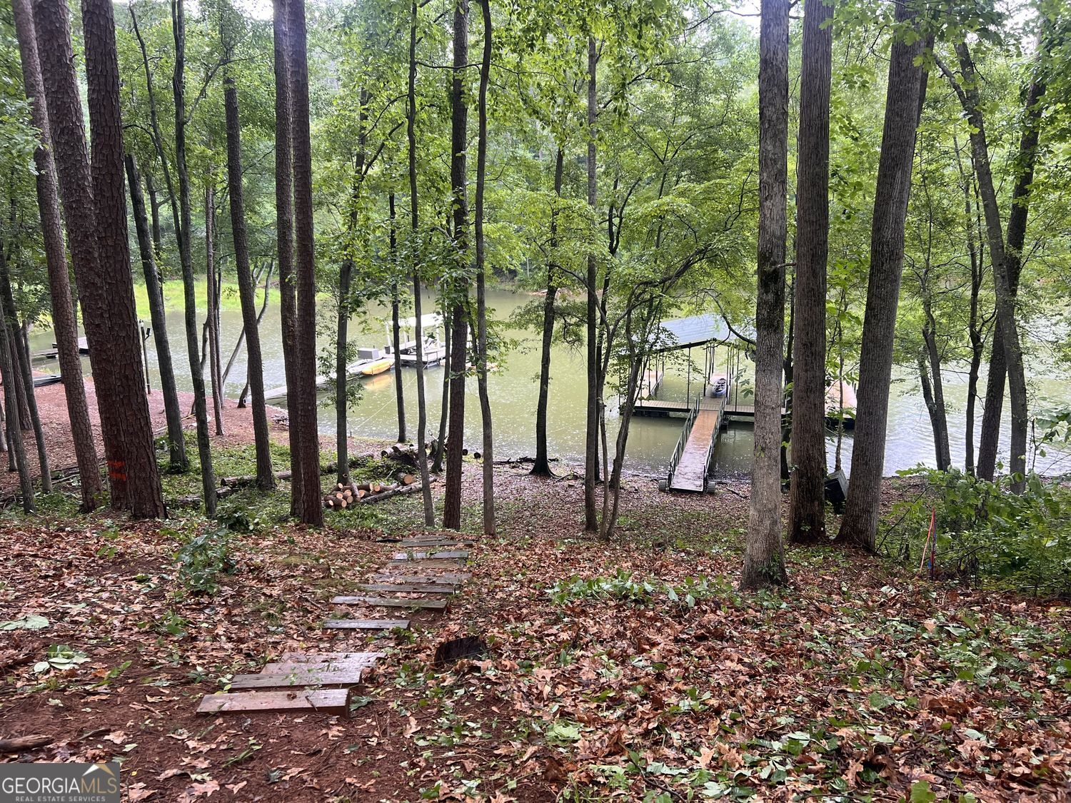 410 Lakeside Hills Road Martin, GA 30557 - Photo 63 of 71 a backyard of a house with lots of green space