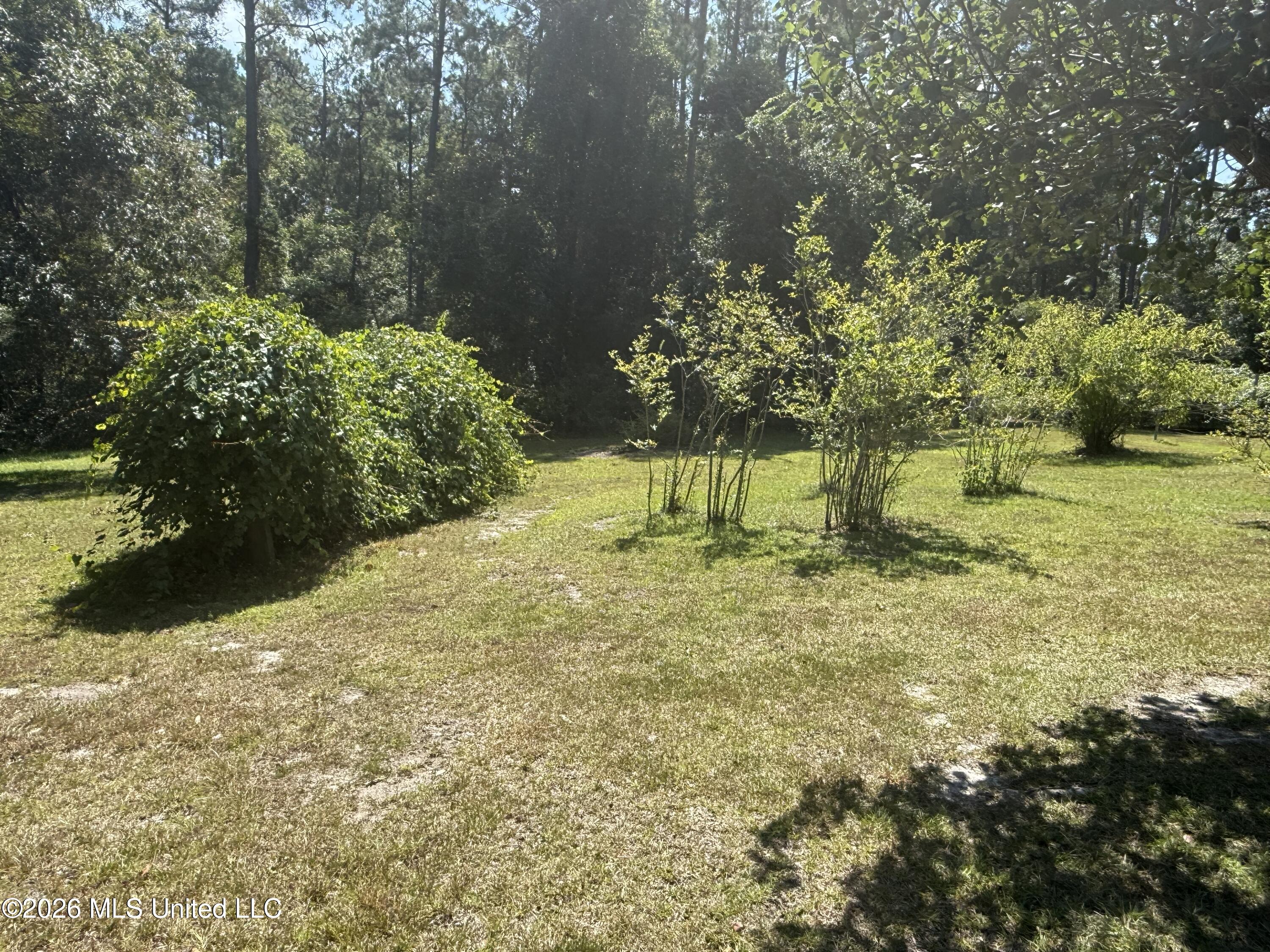 1260 Turner Whittington Road Perkinston, MS 39573 - Photo 21 of 22 IMG_9872