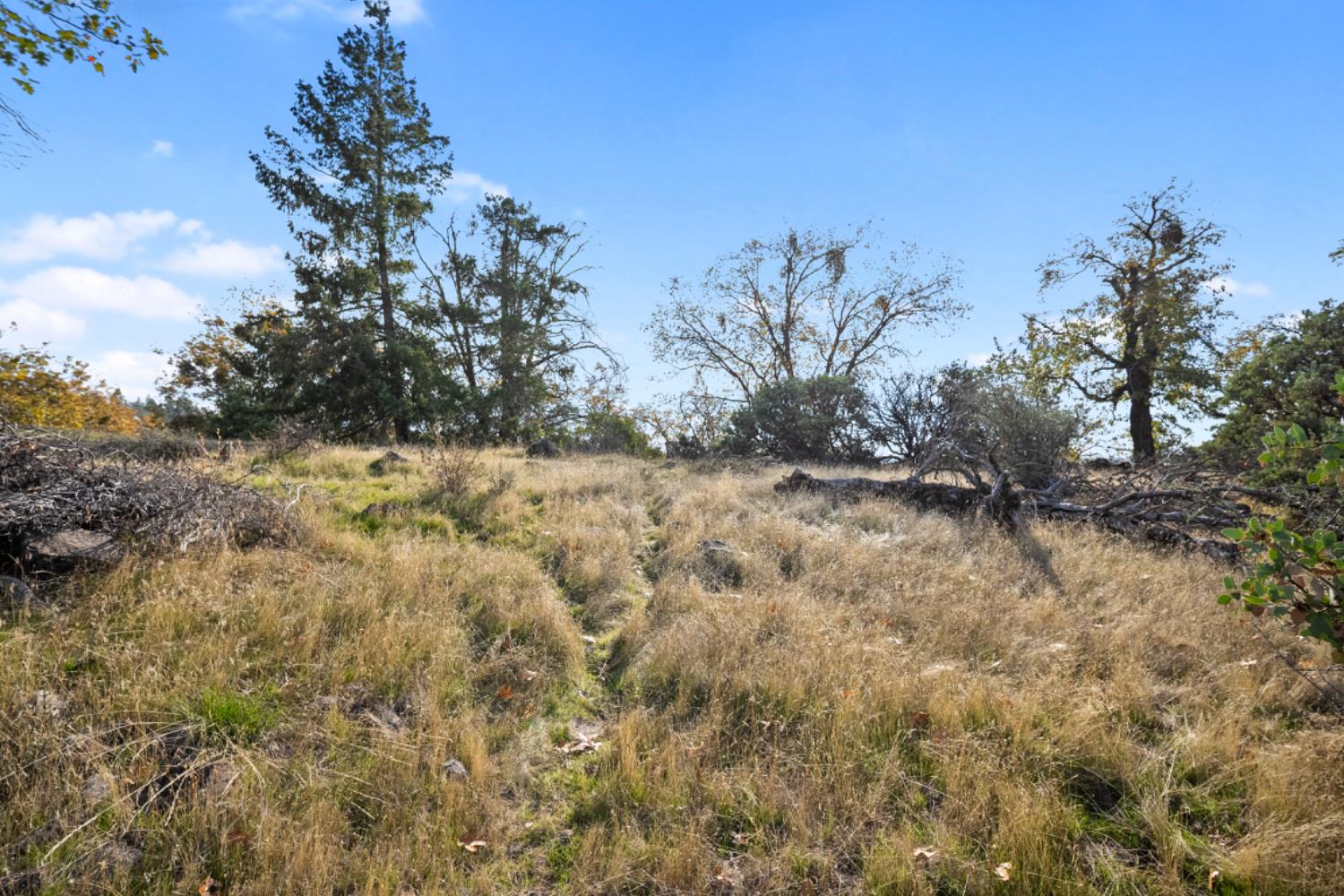 0 Starkes Grade Road Pollock Pines, CA 95726 - Photo 14 of 23