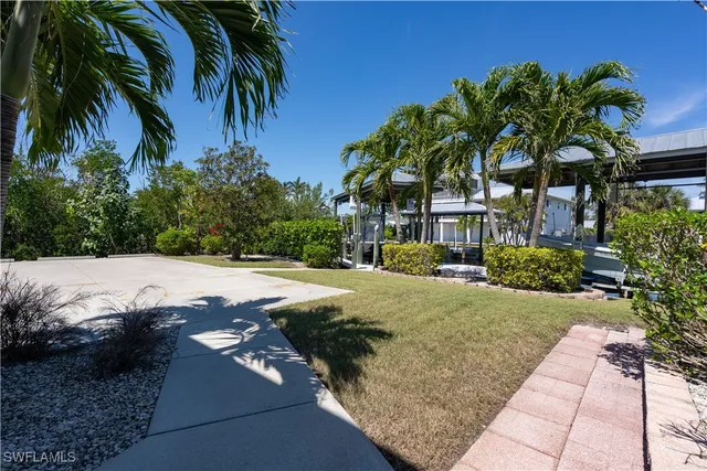 a view of a yard with palm trees