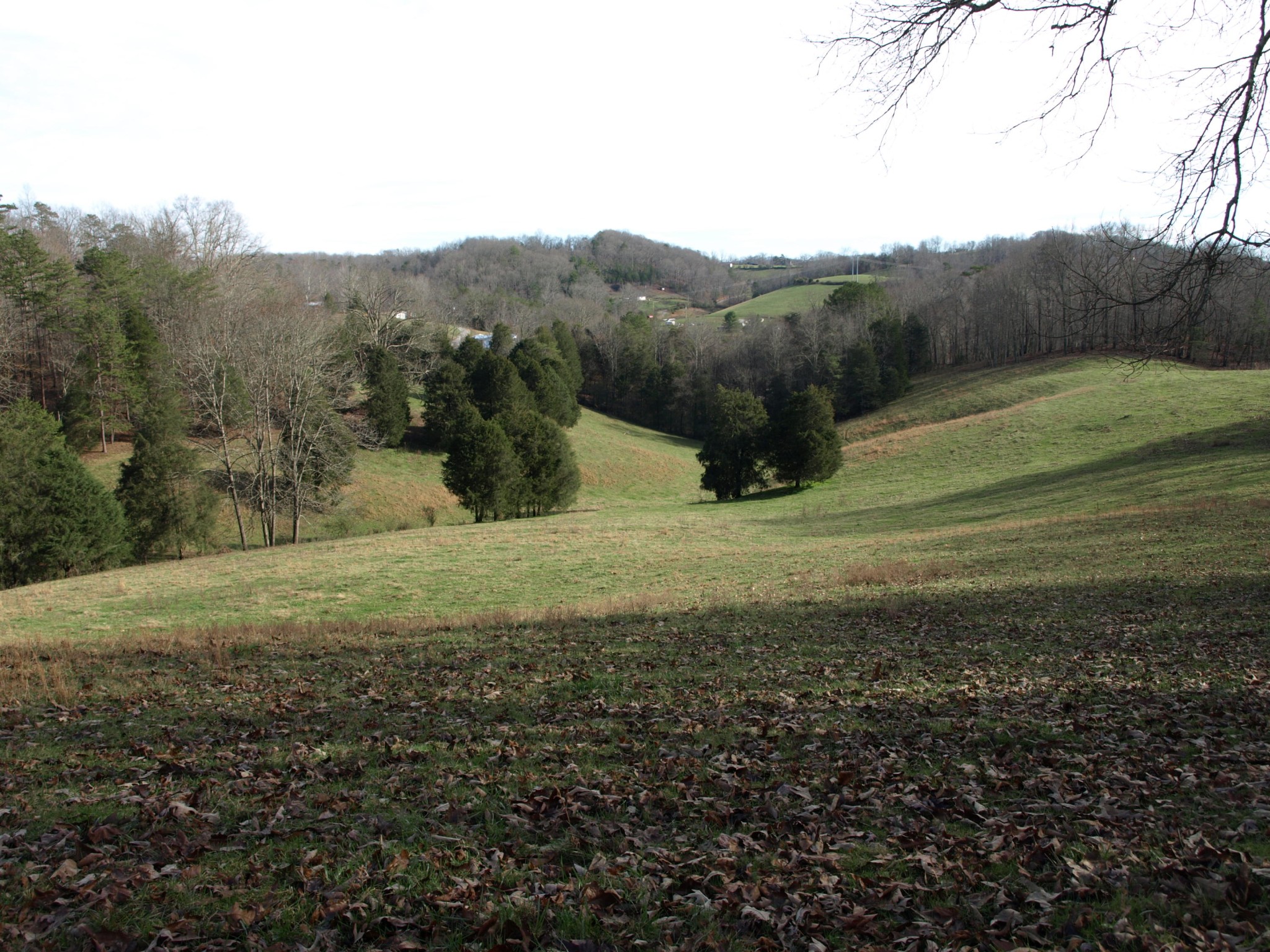0 Big Creek Road La Follette, TN 37766 - Photo 5 of 30 Gallery Image 5