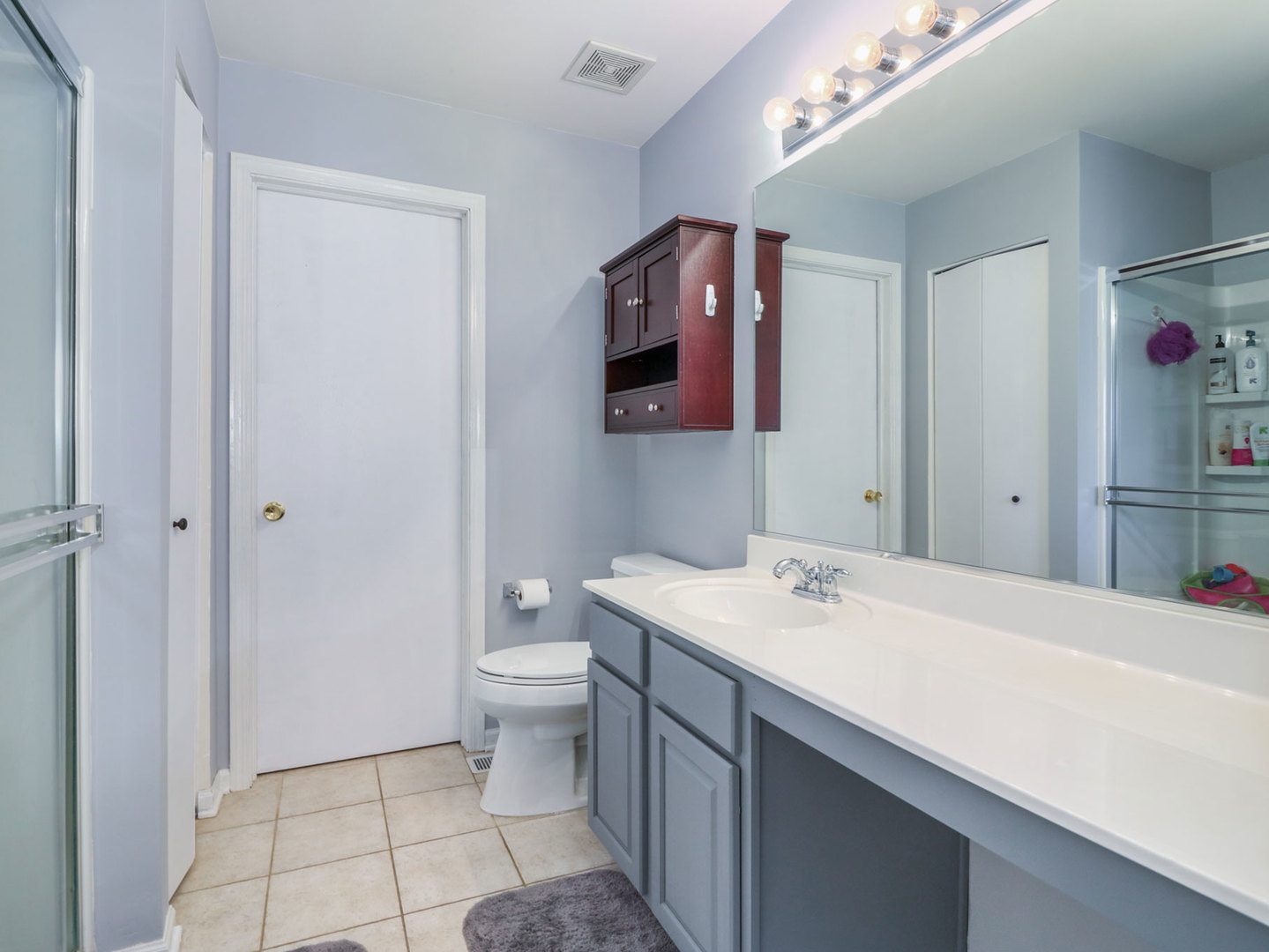 169 Springbrook Trail South Oswego, IL 60543 - Photo 16 of 23