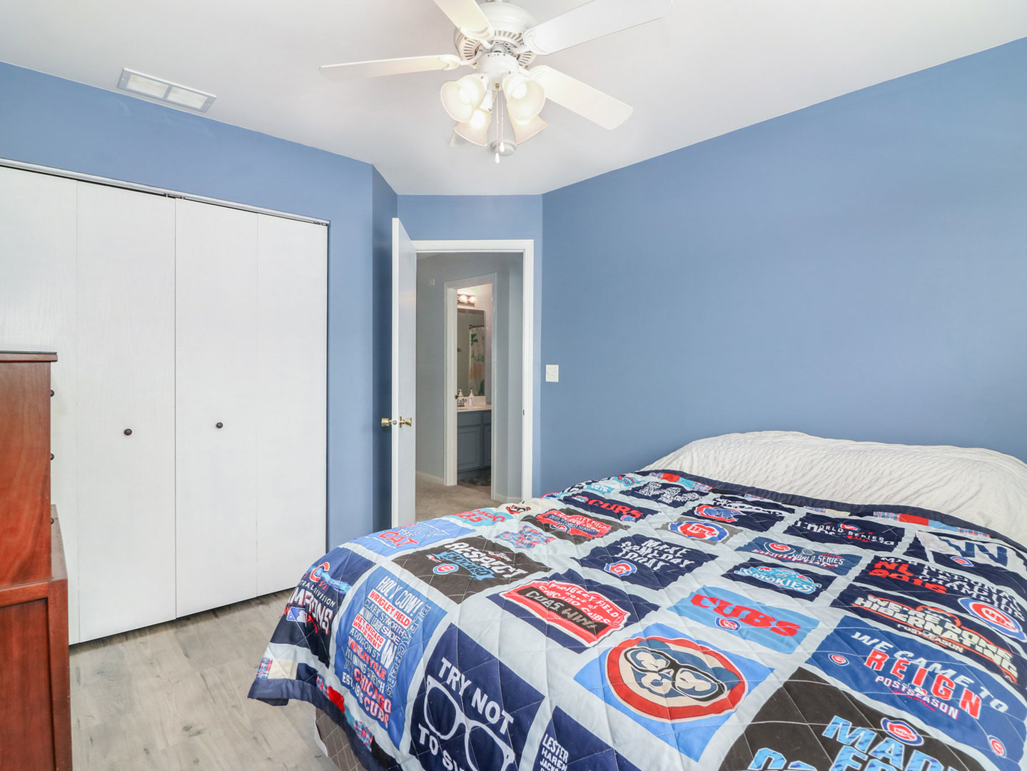 169 Springbrook Trail South Oswego, IL 60543 - Photo 18 of 23
