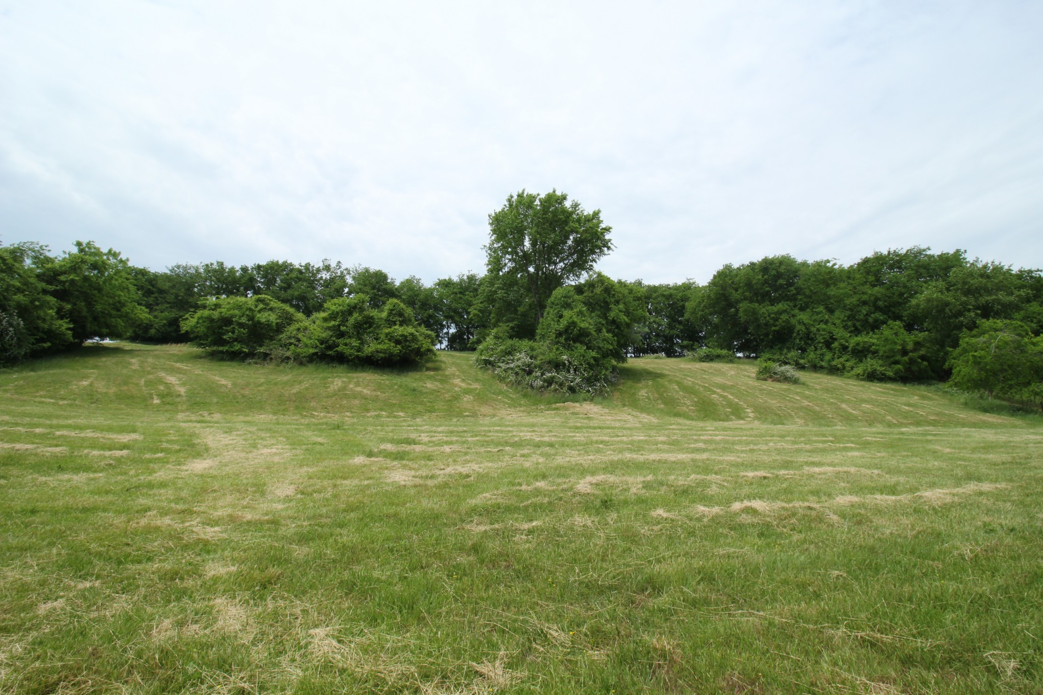 2158 Center Point Road Hendersonville, TN 37075 - Photo 3 of 9 Gallery Image 3