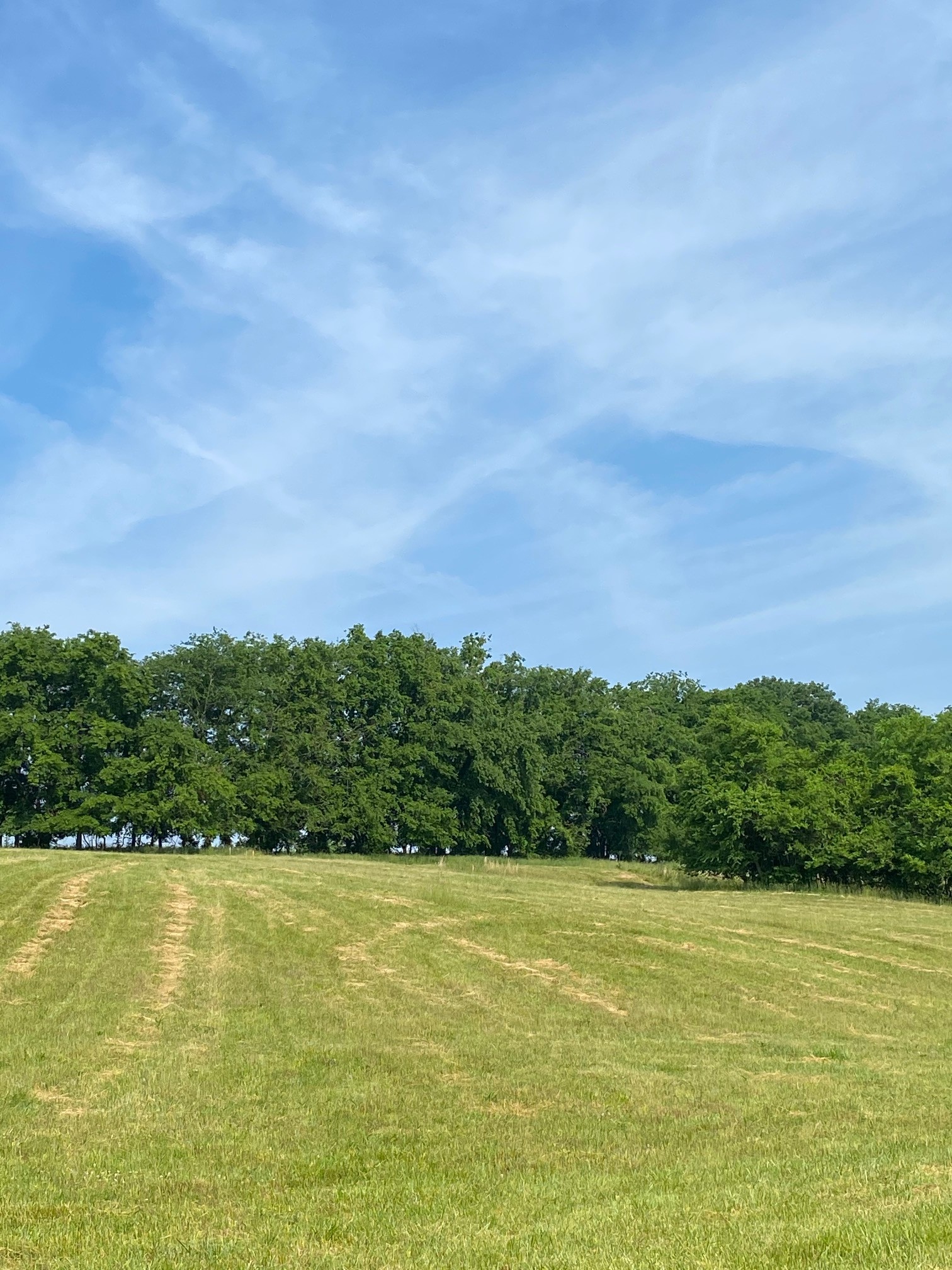 2158 Center Point Road Hendersonville, TN 37075 - Photo 8 of 9 Gallery Image 8
