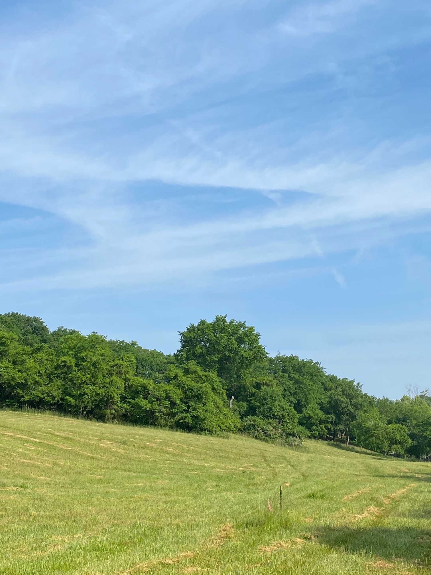 2158 Center Point Road Hendersonville, TN 37075 - Photo 9 of 9 Gallery Image 9