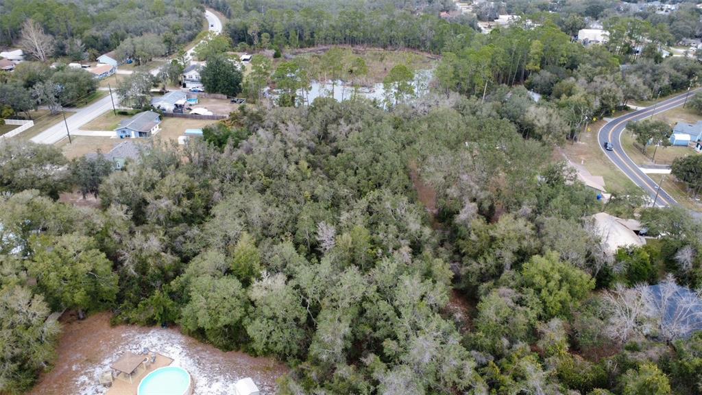 a view of a forest with a houses