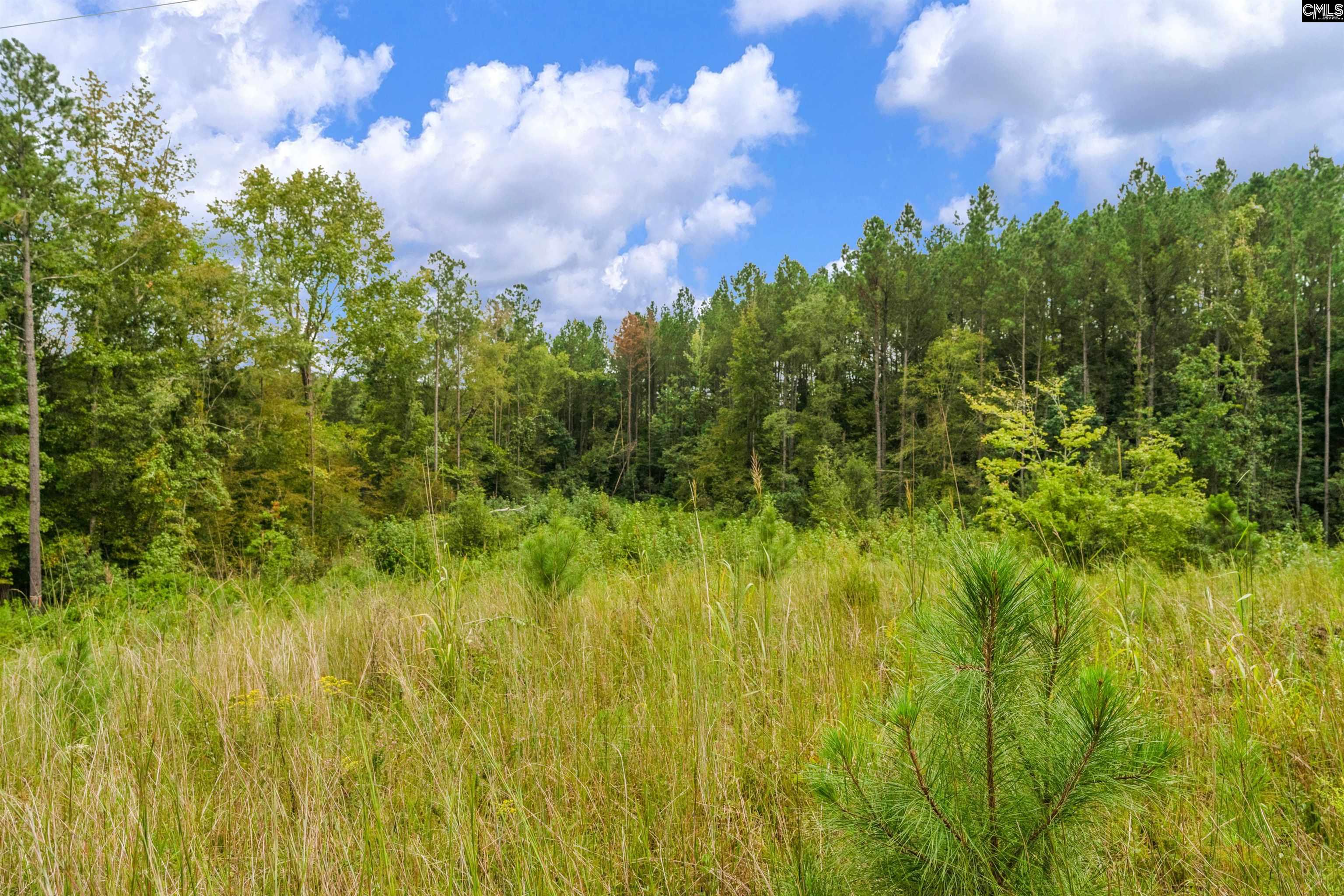 0 Penner Road, Unit 10 Jenkinsville, SC 29065 - Photo 41 of 43