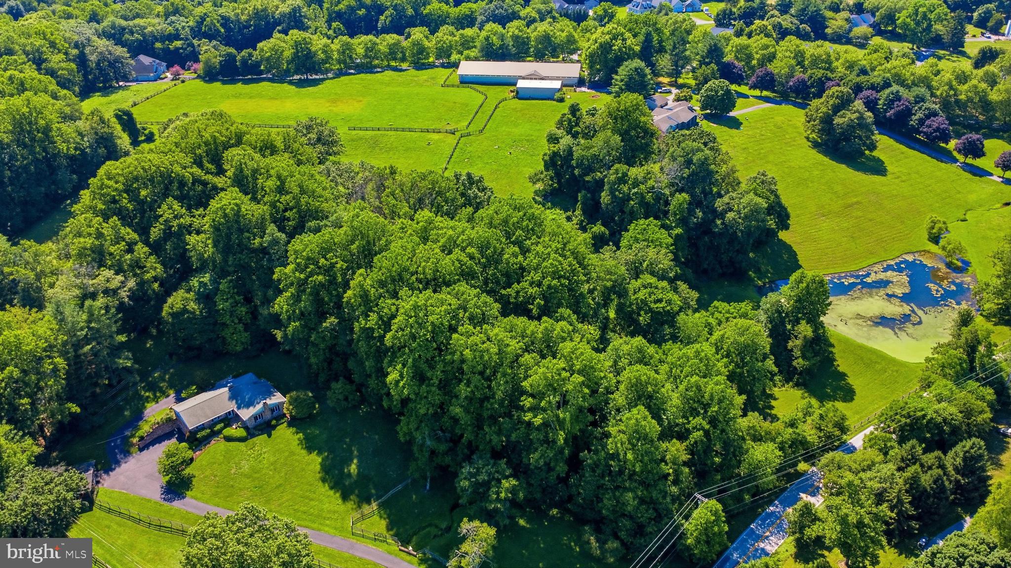 14171 Triadelphia Mill Road Dayton, MD 21036 - Photo 11 of 11