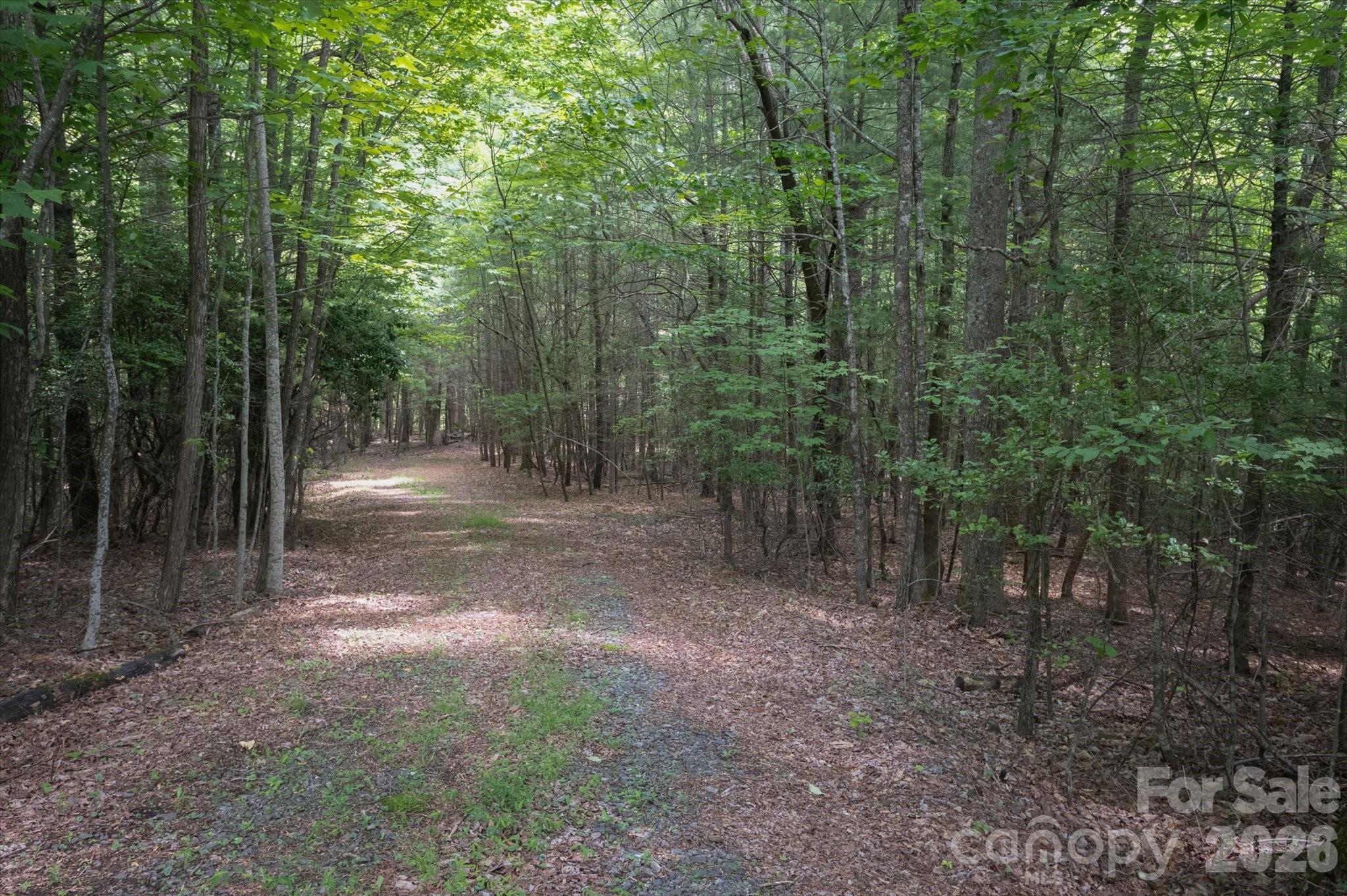 Tbd Reserve Road, Unit 16 Pisgah Forest, NC 28768 - Photo 4 of 18