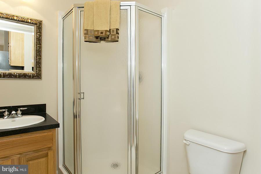 176 White Hall Road Winchester, VA 22603 - Photo 13 of 30 a bathroom with a sink a toilet and shower