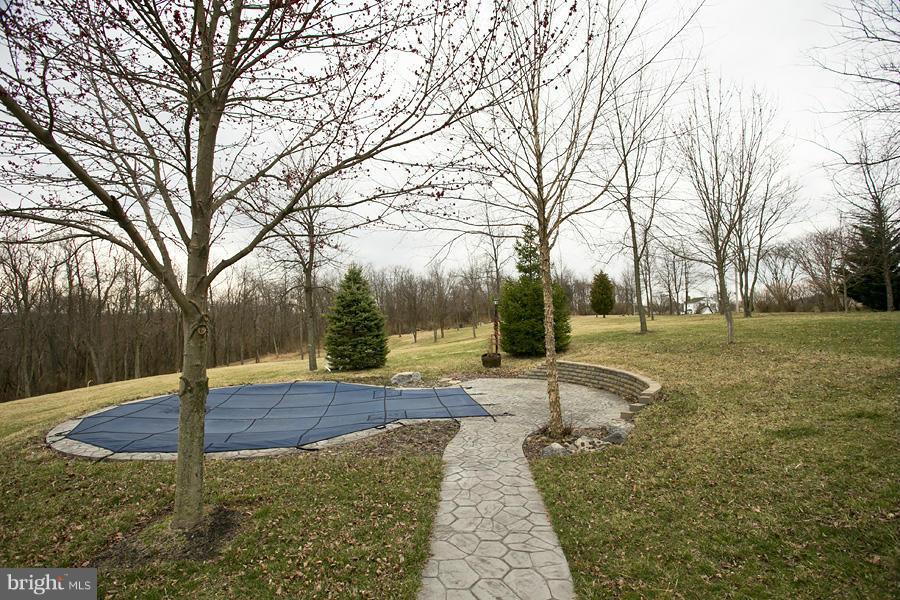 176 White Hall Road Winchester, VA 22603 - Photo 26 of 30 a view of a backyard