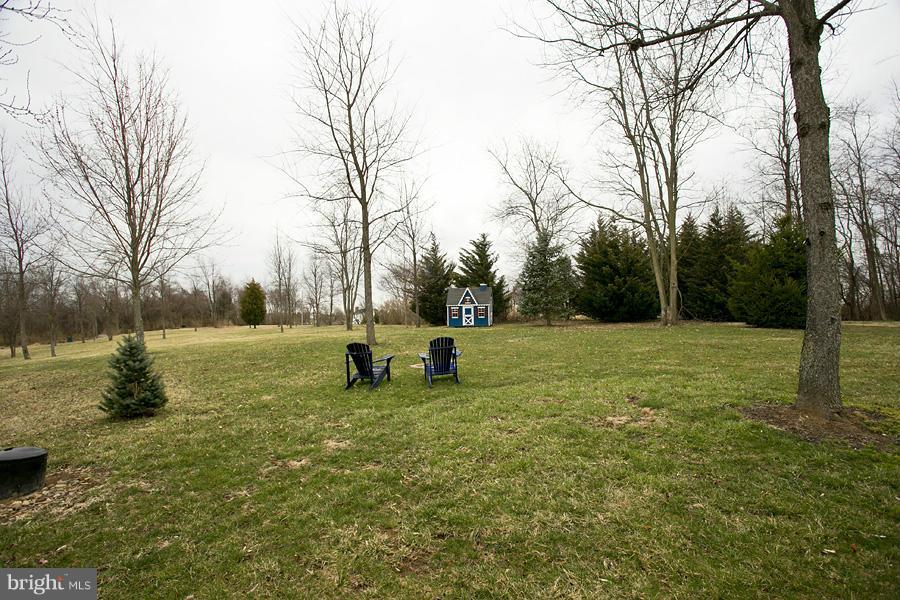 176 White Hall Road Winchester, VA 22603 - Photo 27 of 30 a view of a park with large trees