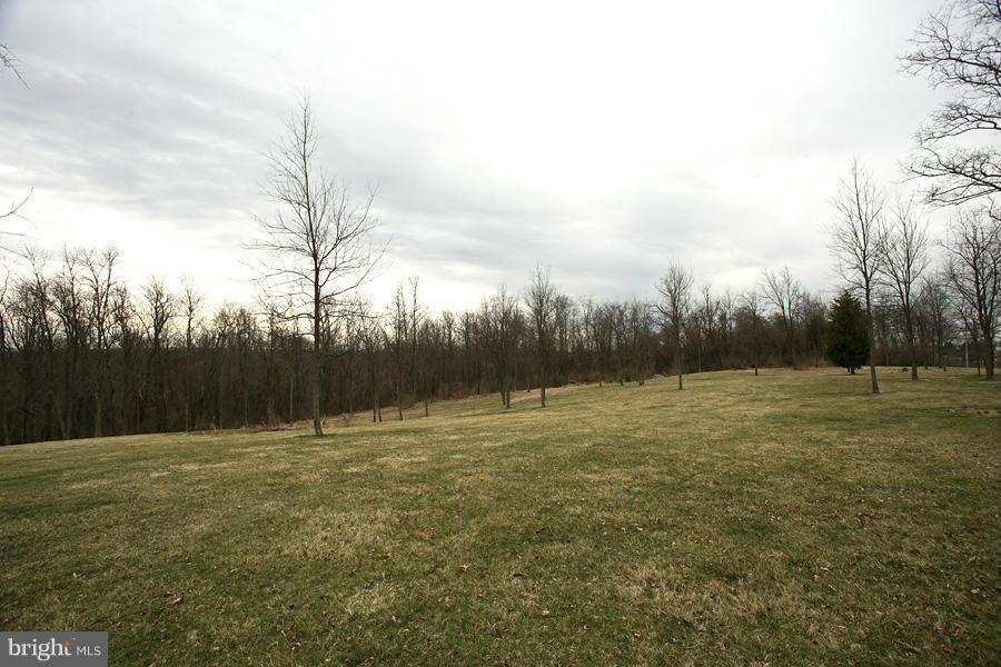 176 White Hall Road Winchester, VA 22603 - Photo 29 of 30 a view of an outdoor space with a lake view