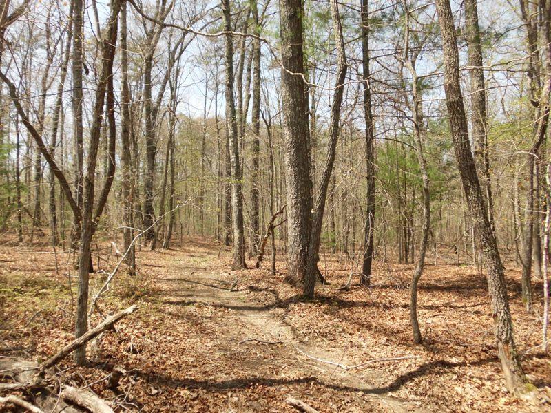 15.26-ac Massingale Road Tellico Plains, TN 37385 - Photo 12 of 21 SANY0032