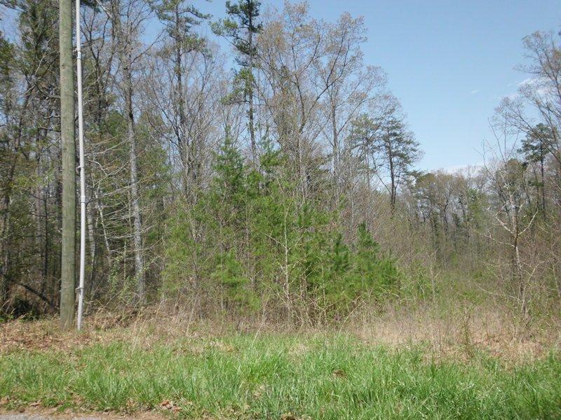 15.26-ac Massingale Road Tellico Plains, TN 37385 - Photo 13 of 21 SANY0033