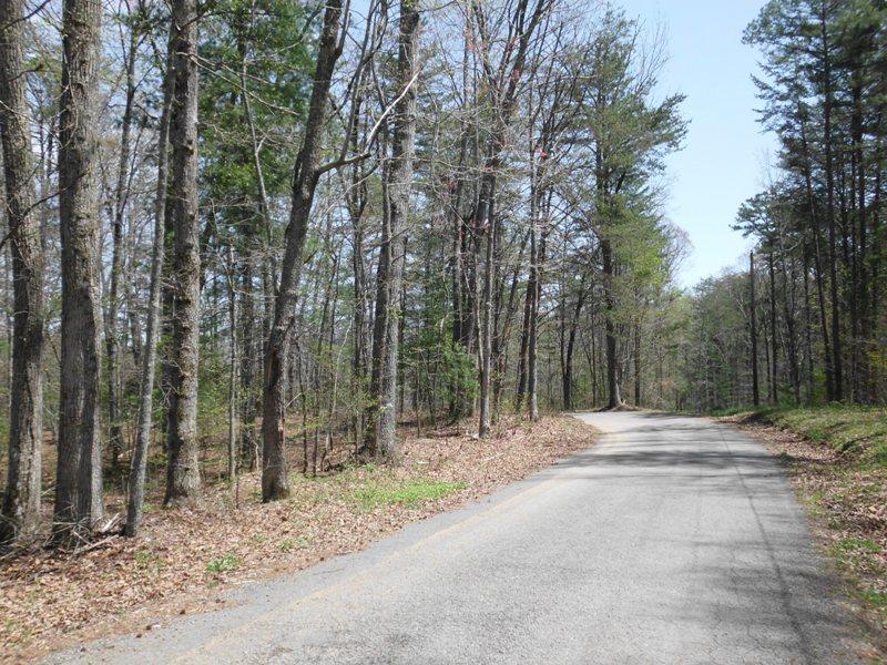 15.26-ac Massingale Road Tellico Plains, TN 37385 - Photo 14 of 21 SANY0034