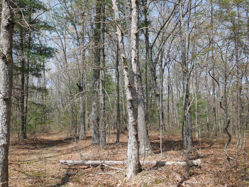 15.26-ac Massingale Road Tellico Plains, TN 37385 - Photo 15 of 21 SANY0035
