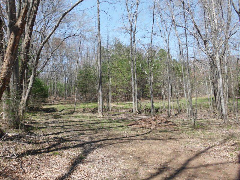 15.26-ac Massingale Road Tellico Plains, TN 37385 - Photo 16 of 21 SANY0059