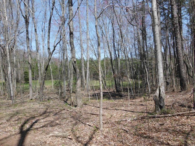 15.26-ac Massingale Road Tellico Plains, TN 37385 - Photo 17 of 21 SANY0060