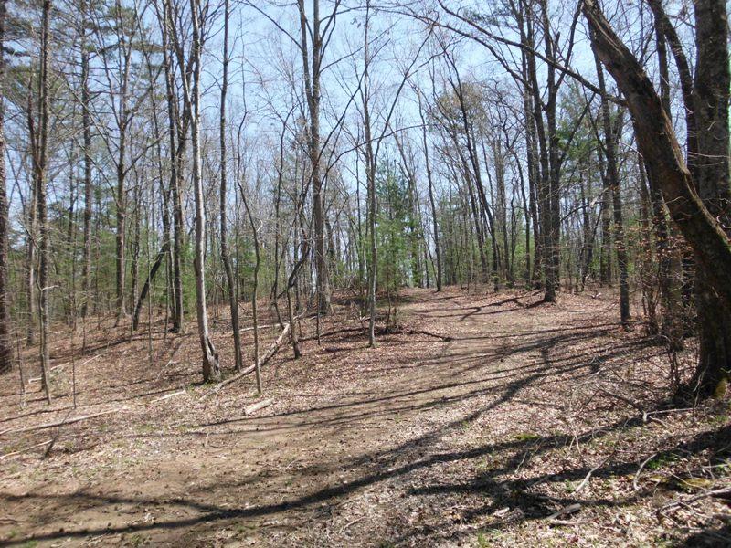 15.26-ac Massingale Road Tellico Plains, TN 37385 - Photo 18 of 21 SANY0063