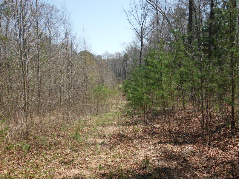 15.26-ac Massingale Road Tellico Plains, TN 37385 - Photo 19 of 21 SANY0066