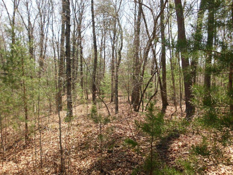 15.26-ac Massingale Road Tellico Plains, TN 37385 - Photo 20 of 21 SANY0067