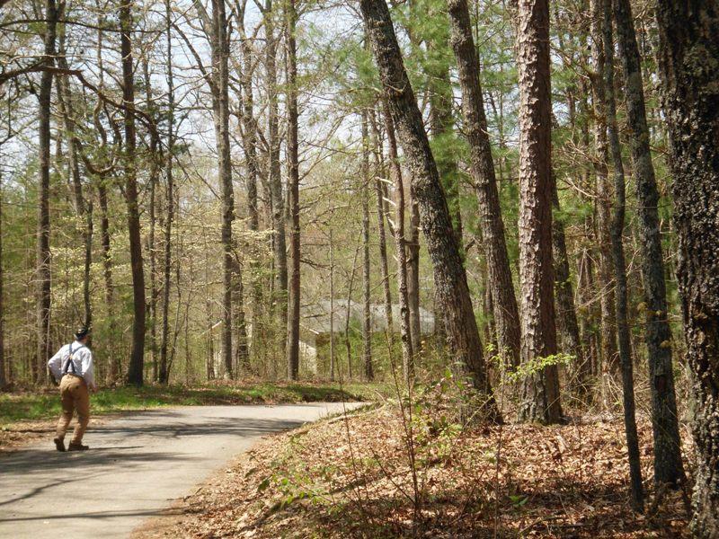 15.26-ac Massingale Road Tellico Plains, TN 37385 - Photo 8 of 21 SANY0028